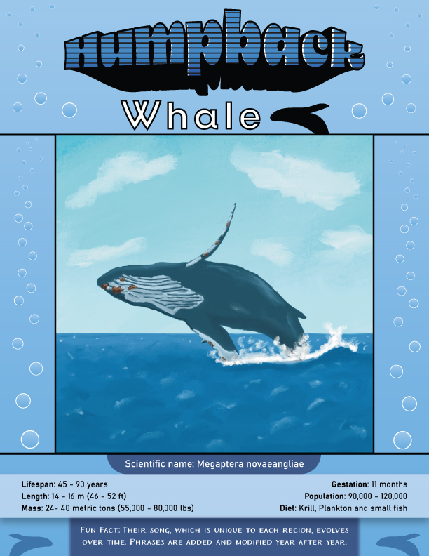 Humpback Whale Poster